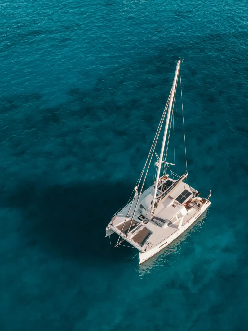 Catamaran cruises
