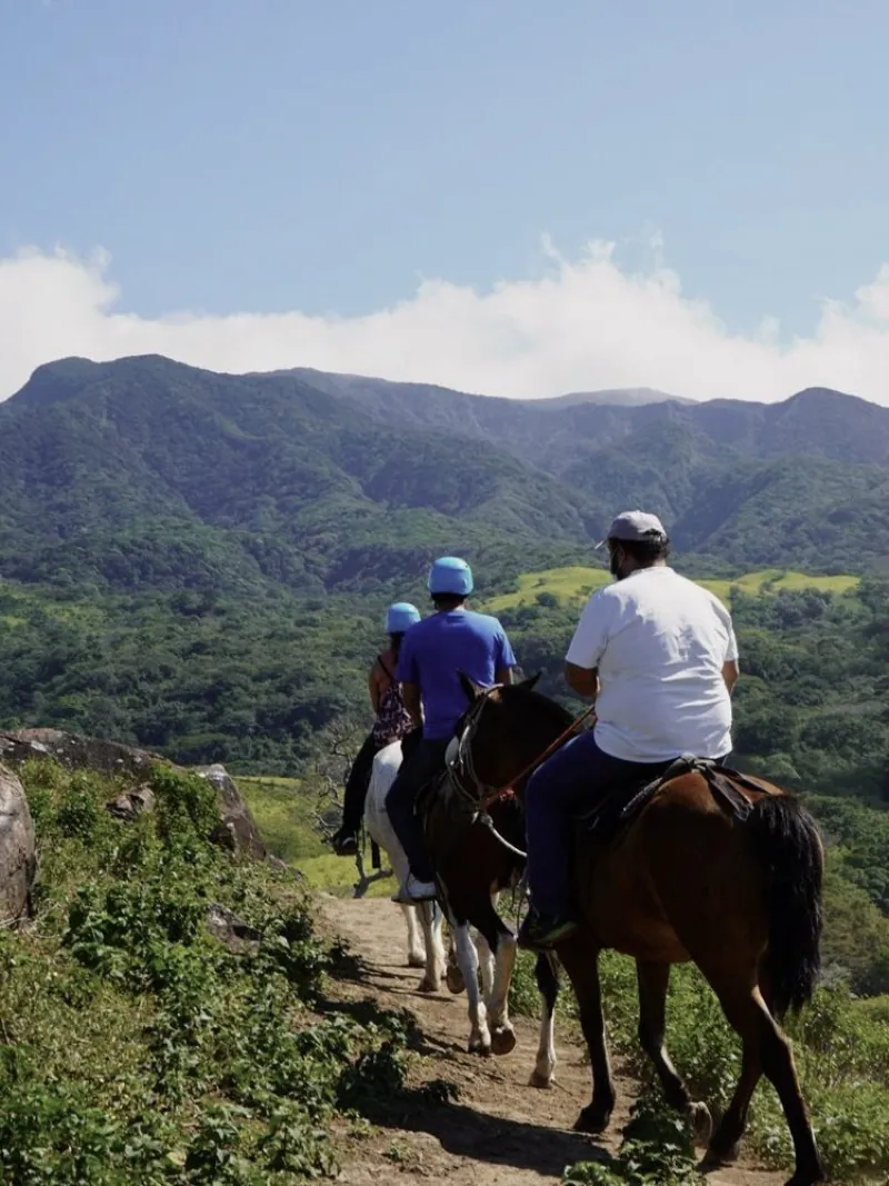 Horseback riding