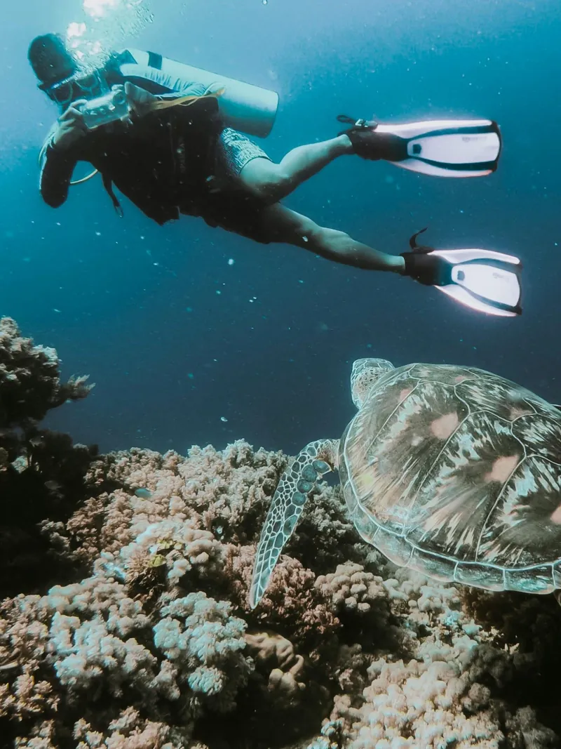 Snorkeling on the Gold Coast